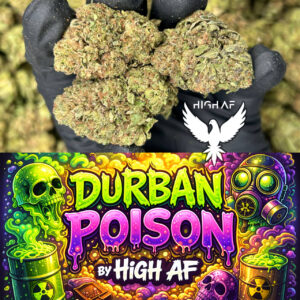 Durban Poison