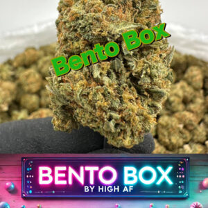Bento Box