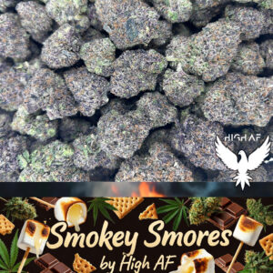 Purple Barney