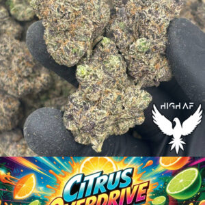 Citrus Overdrive