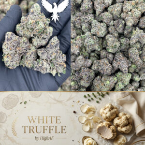 White Truffle